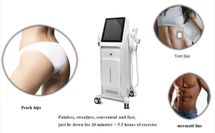 RF EMS+ Body Sculpting Machine suppliers